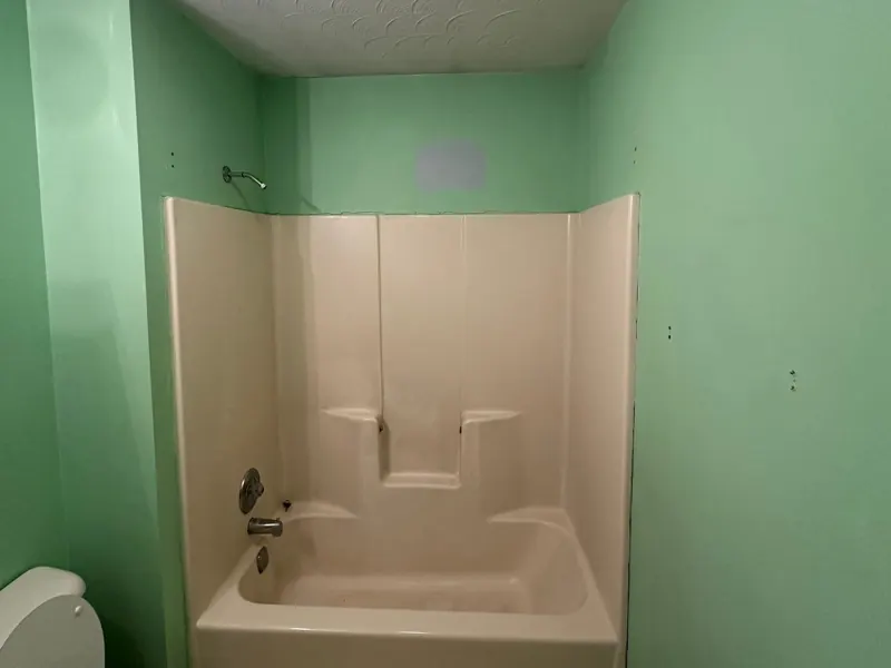 Before: the existing tub-shower unit and mint-green walls.